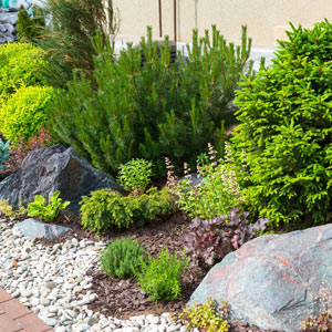landscaping hardscape plants Los Angeles